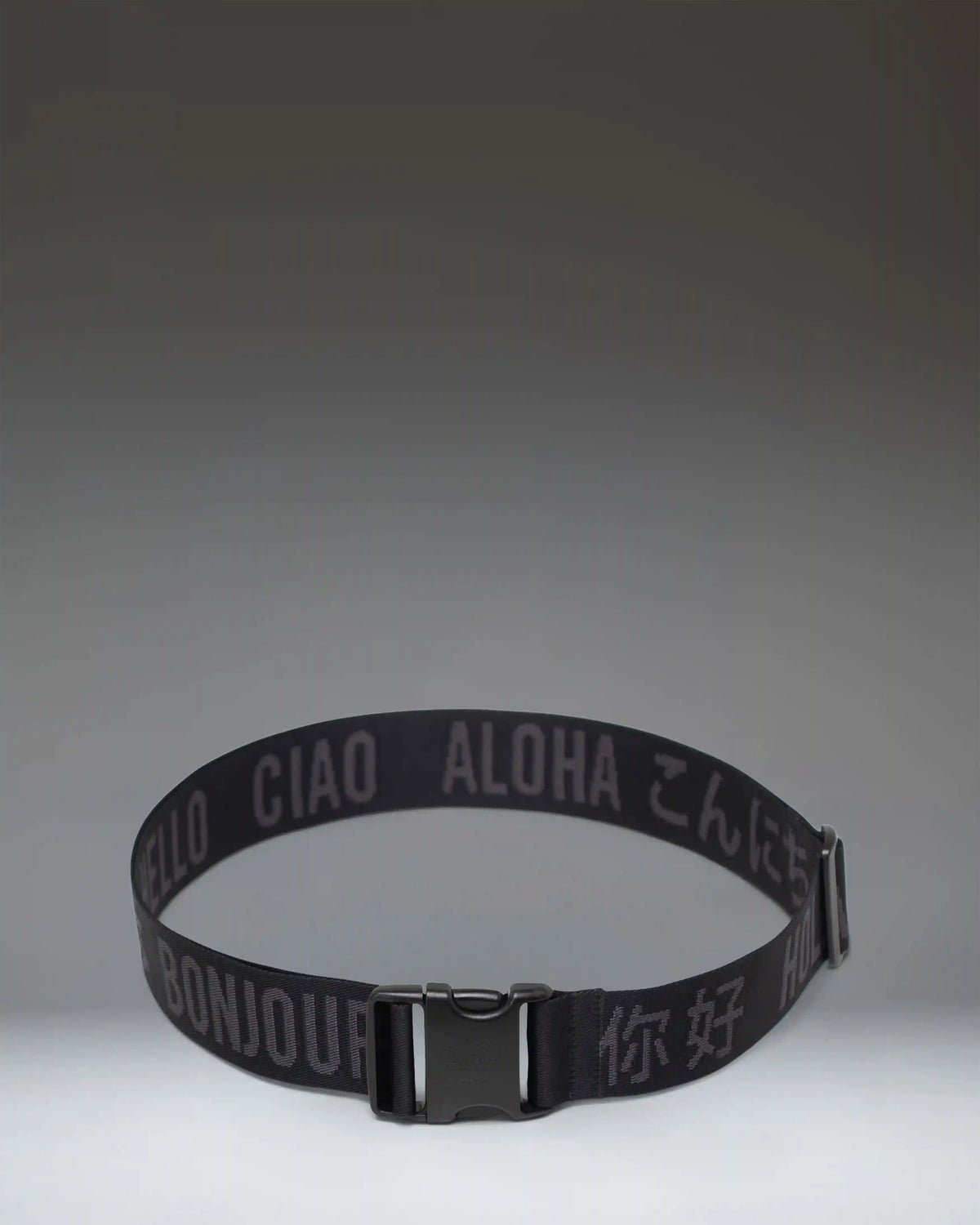 Luggage Belt